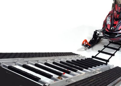 Traction Ladder